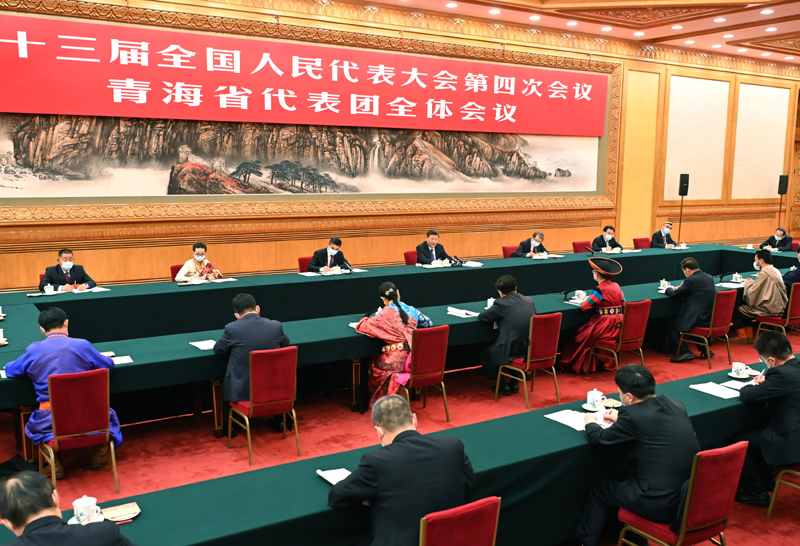3月7日，中共中央總書記、國家主席、中央軍委主席習(xí)近平參加十三屆全國人大四次會(huì)議青海代表團(tuán)的審議。新華社記者 李濤 攝
